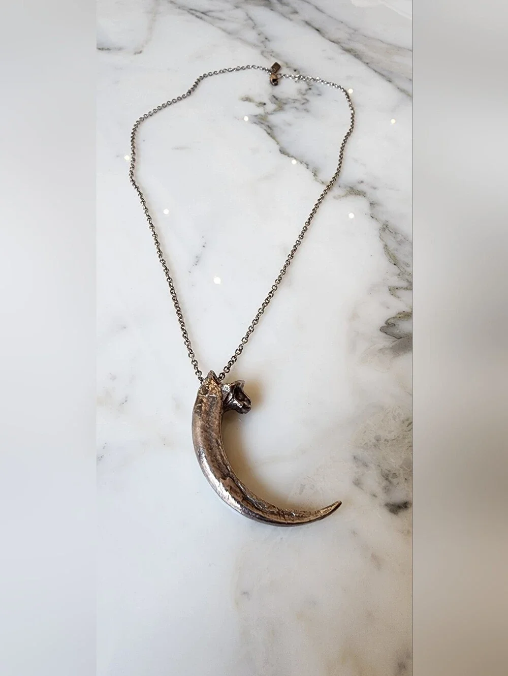 Pamela Love Rare Silver Eagle Talon Necklace - Picture 5 of 8
